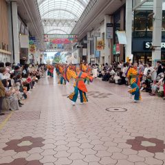 第70回よさこい祭り