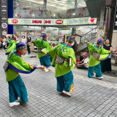 第70回よさこい祭り