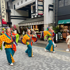 第70回よさこい祭り
