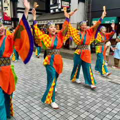 第70回よさこい祭り