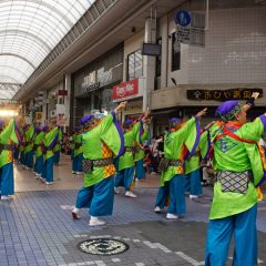 第70回よさこい祭り