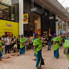 第70回よさこい祭り