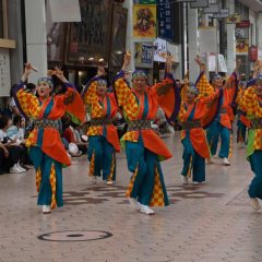 第70回よさこい祭り