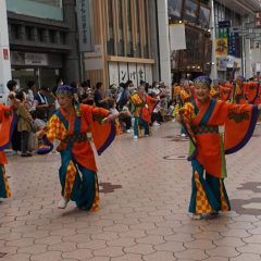 第70回よさこい祭り
