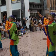 第70回よさこい祭り