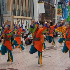 第70回よさこい祭り