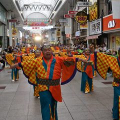 第70回よさこい祭り