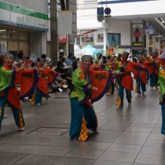 第70回よさこい祭り