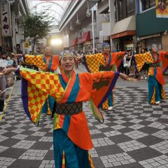 第70回よさこい祭り