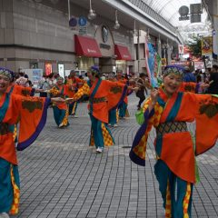 第70回よさこい祭り
