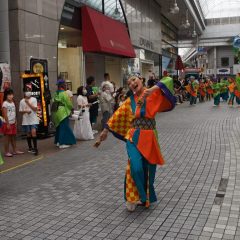 第70回よさこい祭り