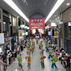 第70回よさこい祭り