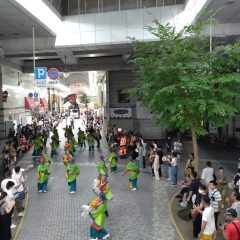 第70回よさこい祭り