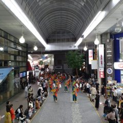 第70回よさこい祭り