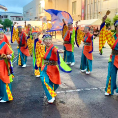 第70回よさこい祭り