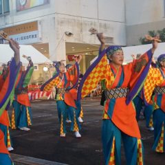 第70回よさこい祭り