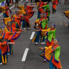 第70回よさこい祭り