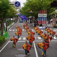第70回よさこい祭り