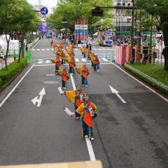 第70回よさこい祭り