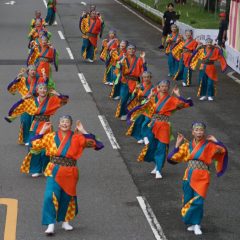 第70回よさこい祭り