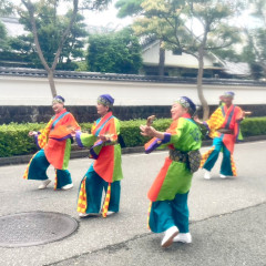 第70回よさこい祭り
