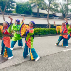 第70回よさこい祭り