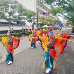 第70回よさこい祭り