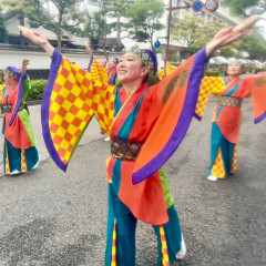 第70回よさこい祭り