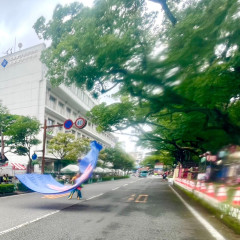 第70回よさこい祭り