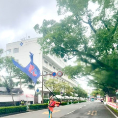 第70回よさこい祭り