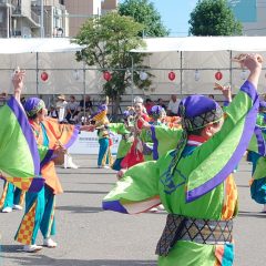 第70回よさこい祭り