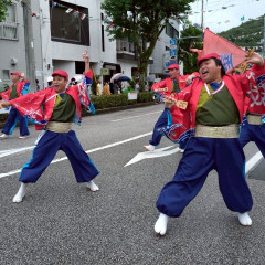 2025_08_11_72nd-yosakoimaturi_umenotuji008