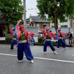 2025_08_11_72nd-yosakoimaturi_umenotuji011