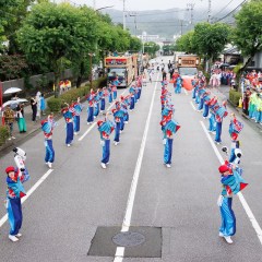 2025_08_11_72nd-yosakoimaturi_umenotuji_M001