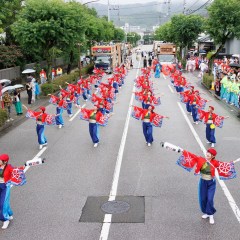 2025_08_11_72nd-yosakoimaturi_umenotuji_M002