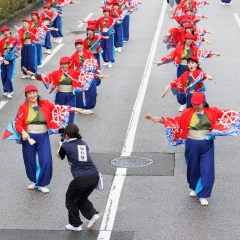 2025_08_11_72nd-yosakoimaturi_umenotuji_M003