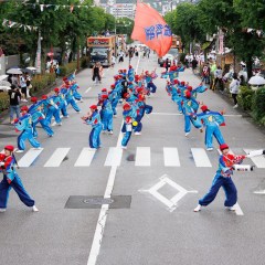 2025_08_11_72nd-yosakoimaturi_umenotuji_M012