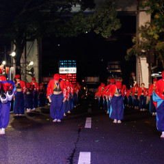 2025_08_11_72nd-yosakoimaturi_outesujiminami_M009