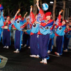 2025_08_11_72nd-yosakoimaturi_outesujiminami_M025