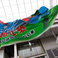 2025_08_10_72nd-yosakoimaturi_obiyamati_M081