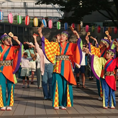 2023_0820_sumidagawa037