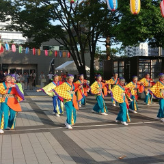 2023_0820_sumidagawa044